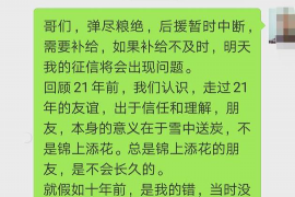 广元为什么选择专业追讨公司来处理您的债务纠纷？